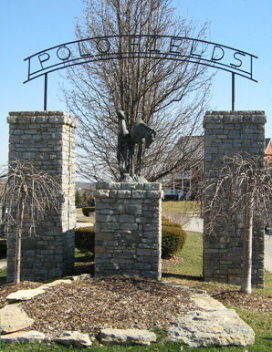 polofieldssm